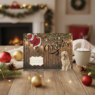 Golden Retriever Santa Christmas Holiday Postcard