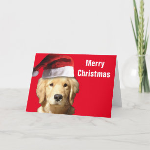 Golden Retriever Santa Claus Card