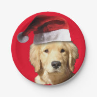 Golden Retriever Santa Claus