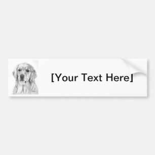 Golden Retriever Sketch Bumper Sticker