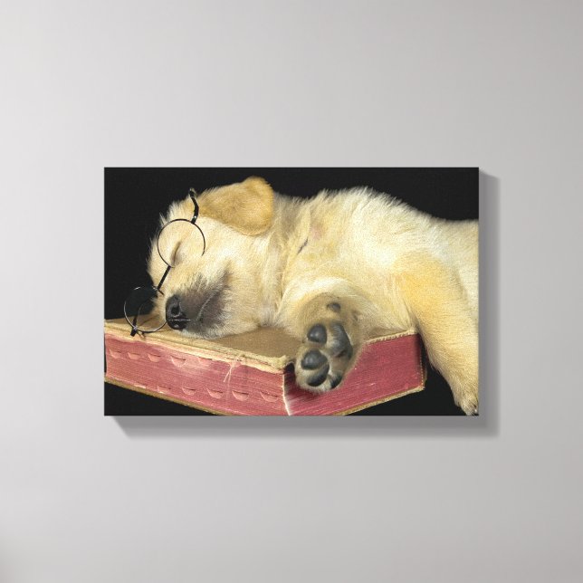 golden retriever sleeping on old book canvas print (Front)