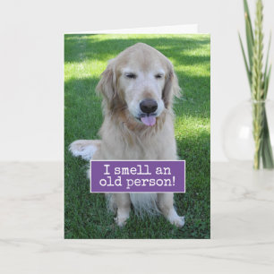 Golden Retriever Smells An Old Person Birthday Card