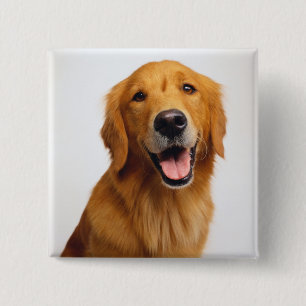 Golden Retriever Smile 15 Cm Square Badge
