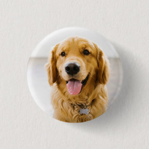 Golden Retriever Smiling 3 Cm Round Badge