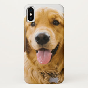 Golden Retriever Smiling Case-Mate iPhone Case