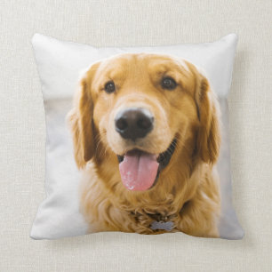 Golden Retriever Smiling Cushion