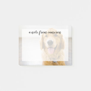 Golden Retriever Smiling Post-it Notes