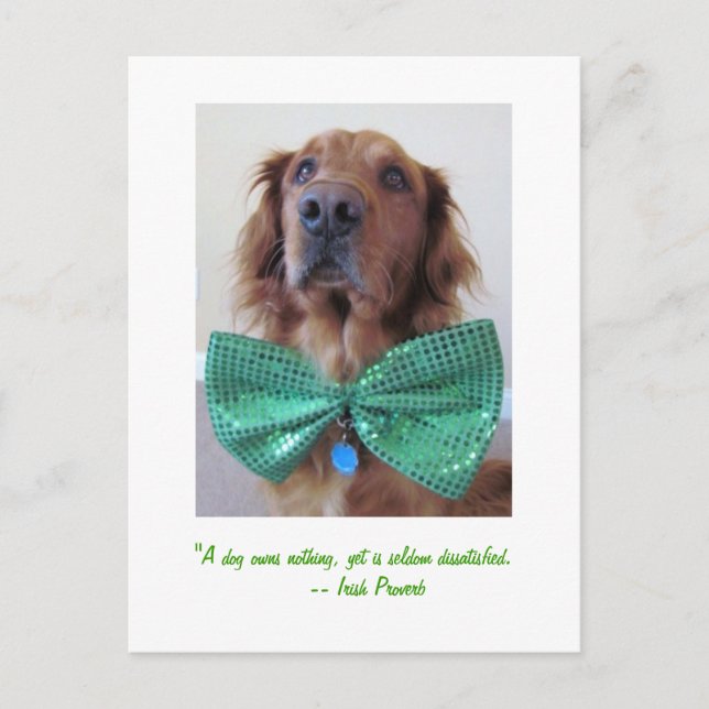 Golden Retriever St. Patrick's Day Postcard (Front)
