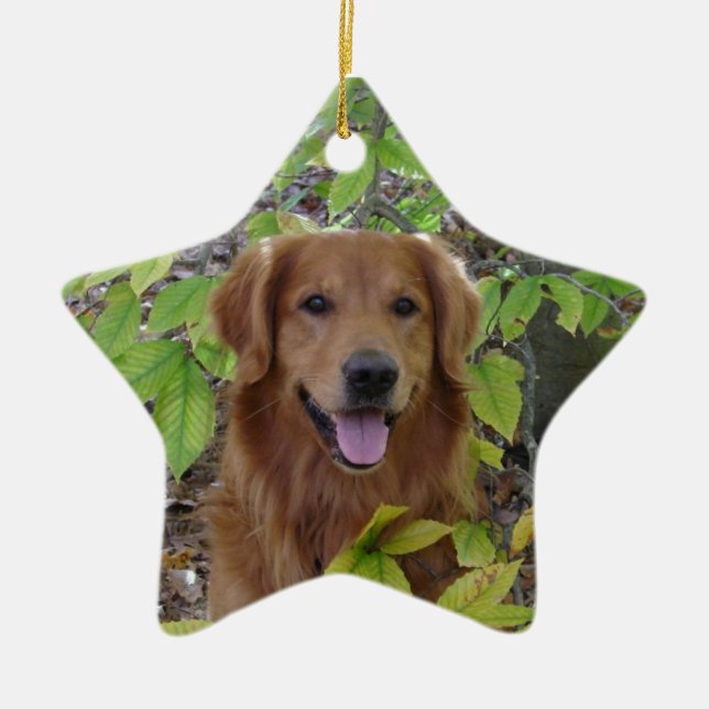 GOLDEN RETRIEVER STAR ORNAMENT (Front)