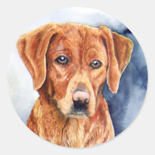 Golden Retriever Stickers