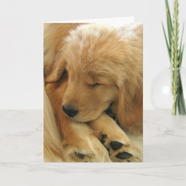 Golden Retriever Sweet Puppy Mother's Day Card (Front)