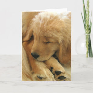 Golden Retriever Sweet Puppy Mother's Day Card