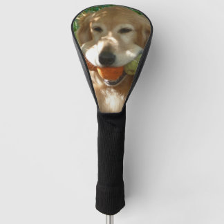 Golden Retriever & Tennis Balls Golf Head Cover