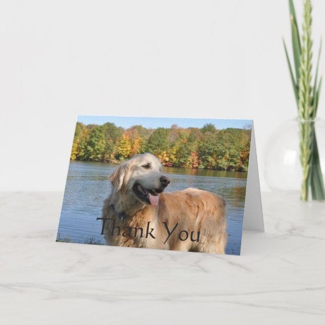 Golden Retriever Thank You At The Lake Card (Front)
