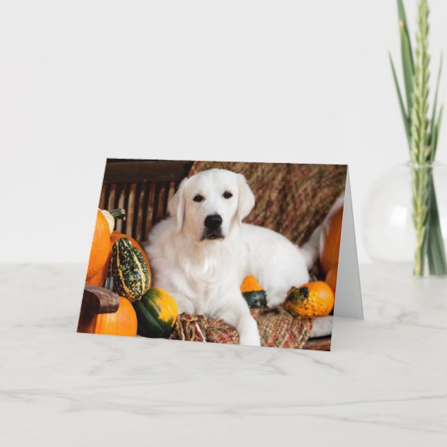 Golden Retriever Thanksgiving Greeting Card (Front)