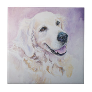 Golden retriever tile