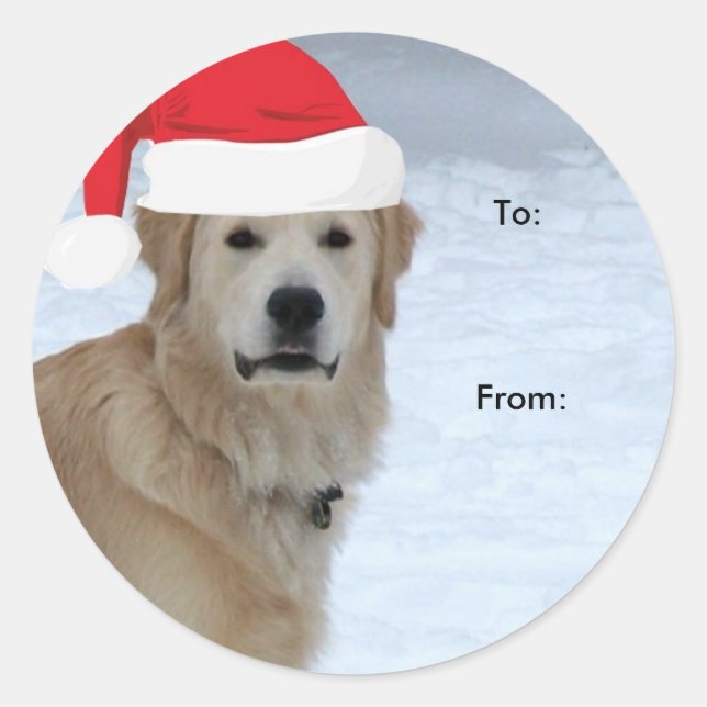 Golden Retriever To/From Christmas stickers (Front)