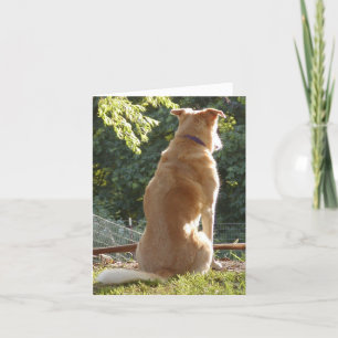 Golden Retriever Valentines Day Card