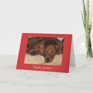 Golden Retriever Valentine's Day Card