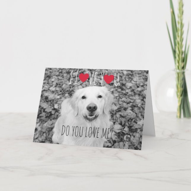 Golden retriever VALENTINE'S DAY Greeting card (Front)