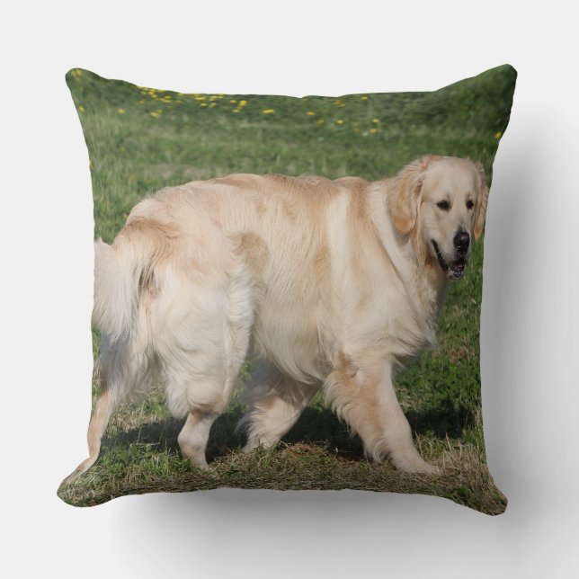 Golden Retriever Walking Cushion (Front)