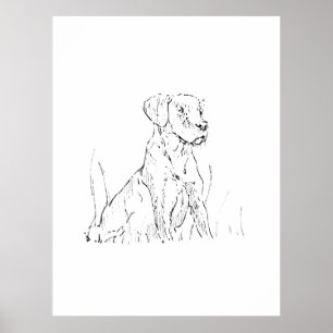 Golden Retriever Wall Art Poster,Ink Illustration
