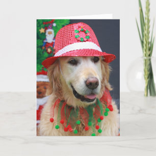 Golden Retriever wearing a Christmas Fedora Hat Holiday Card