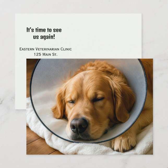 Golden Retriever Wearing a Cone of Shame Postcard (Front/Back)