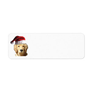 Golden Retriever wearing a Santa Claus Hat