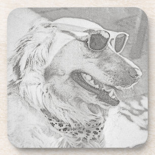 Golden Retriever Wearing Sunglasses Coaster