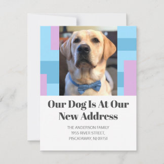 Golden Retriever We've Moved Pet Dog Photo Moving Announcement