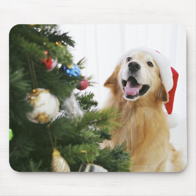 Golden retriever which watches Christmas tree Mouse Pad (Front)