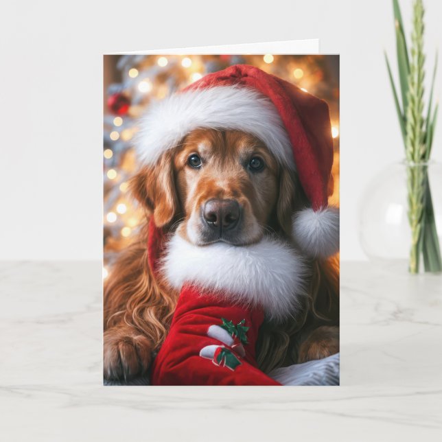 Golden Retriever With a Christmas Stocking Holiday Card (Front)
