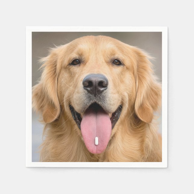 Golden Retriever with a Pill Napkin (Front)