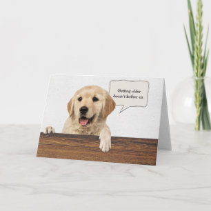golden retriever with anniversary card