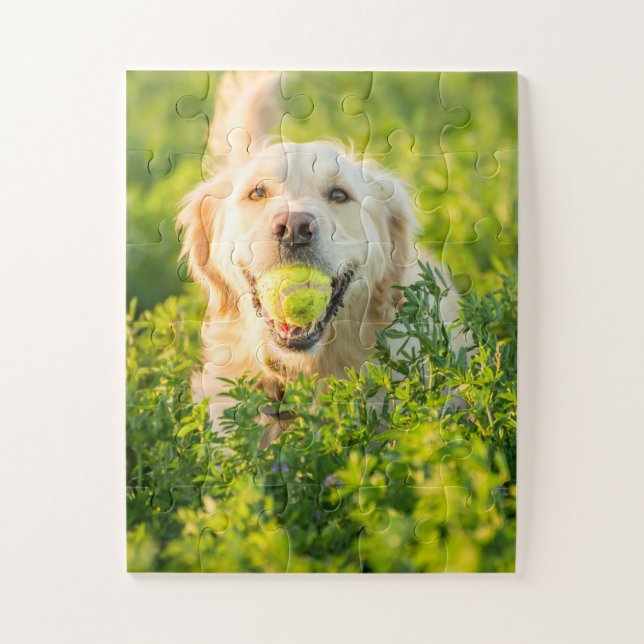 Golden Retriever with Ball Jigsaw Puzzle (Vertical)