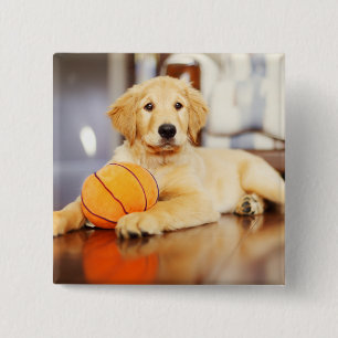Golden Retriever With Basketball Toy 15 Cm Square Badge