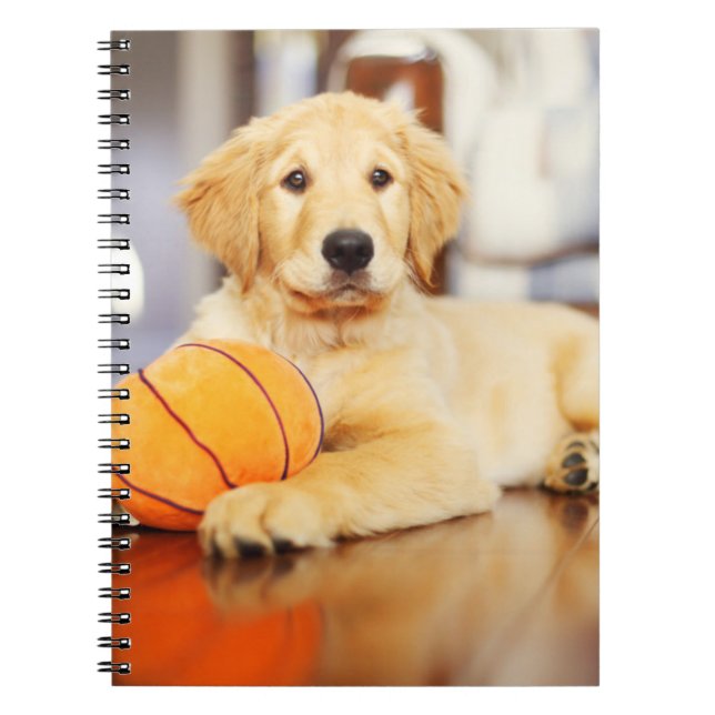 Golden Retriever With Basketball Toy Notebook (Front)