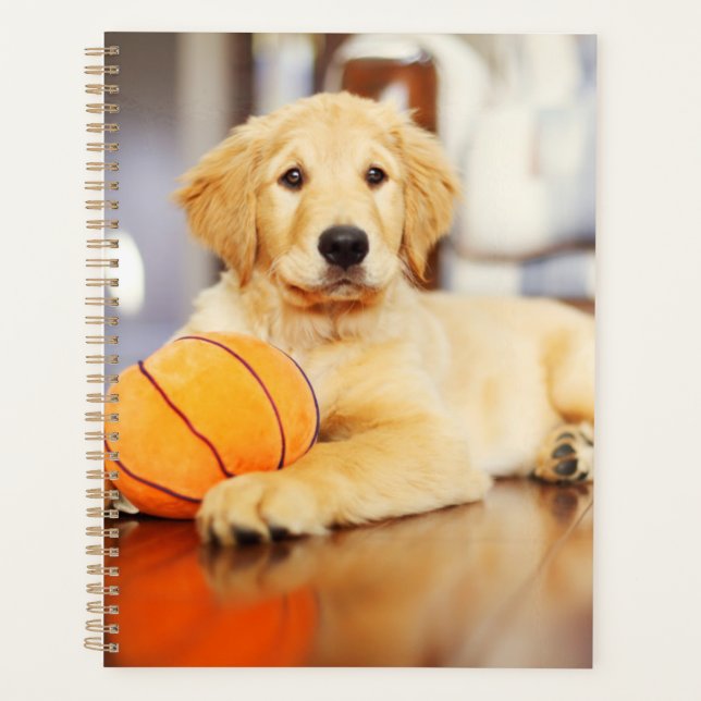 Golden Retriever With Basketball Toy Planner (Front)