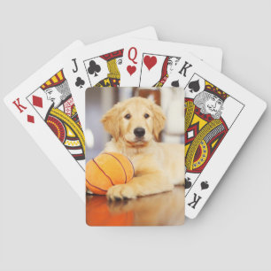 Golden Retriever With Basketball Toy Playing Cards