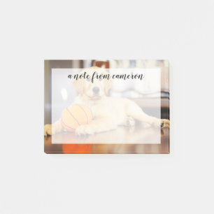 Golden Retriever With Basketball Toy Post-it Notes