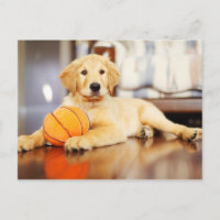 Golden Retriever With Basketball Toy