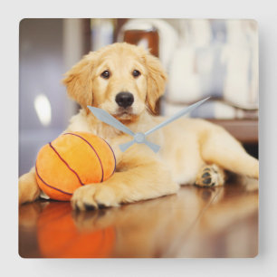Golden Retriever With Basketball Toy Square Wall Clock