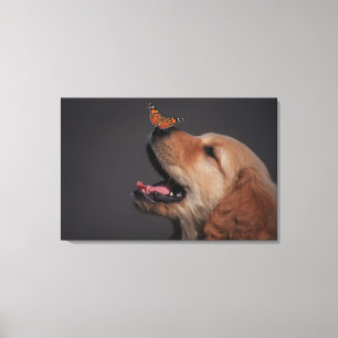 Golden Retriever With Butterfly On His Nose Canvas Print