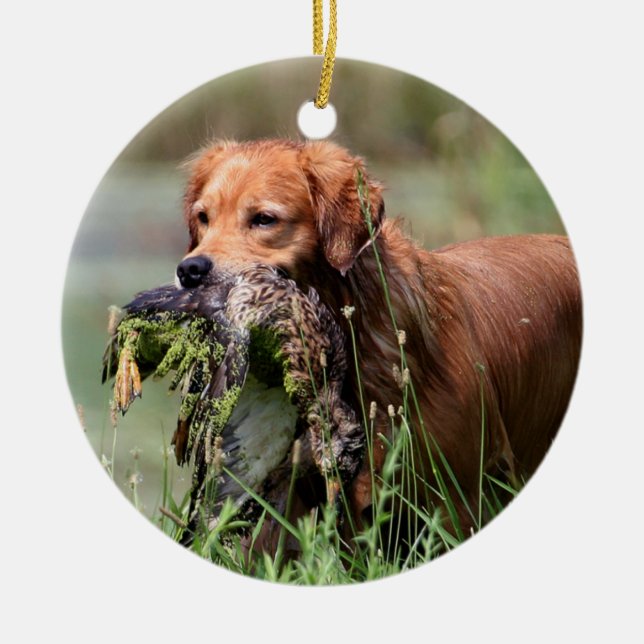 Golden Retriever with duck Ornament (Front)