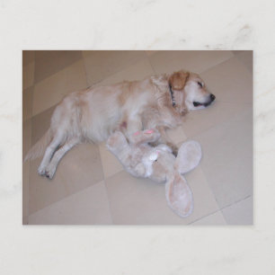 Golden Retriever  With Easter Bunny Postcard