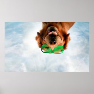 Golden Retriever With Green Sunglasses Poster