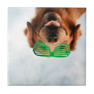 Golden Retriever With Green Sunglasses Tile