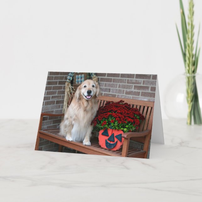 Golden Retriever With Halloween Pumpkin Planter Card (Front)