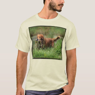 Golden Retriever with mallard duck shirt. T-Shirt